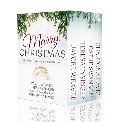 Marry Christmas: Christmas Lights Collection 2023 book cover