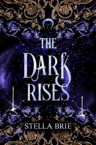 The Dark Rises book cover