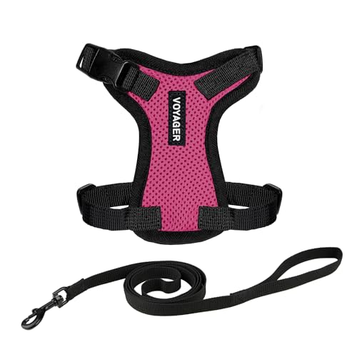Voyager Step-in Lock Cat Harness and Reflective Cat Leash with Neoprene Handle by Best Pet Supplies - Supports Small, Medium and Large Breed Cats, Fuchisa/ Black Trim, size S - 5ft
