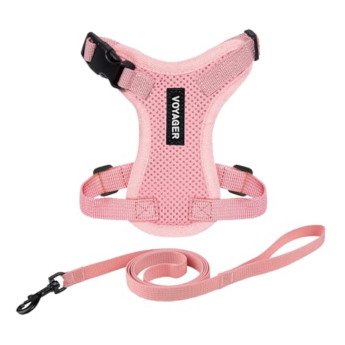 Voyager Step-in Lock Cat Harness and Reflective Cat Leash with Neoprene Handle by Best Pet Supplies - Supports Small, Medium and Large Breed Cats, Pink, size XS - 5ft