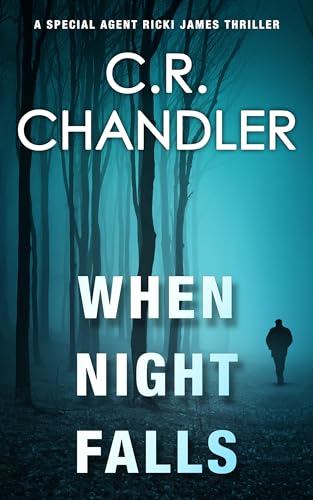 When Night Falls book cover
