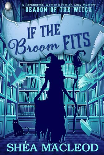 If the Broom Fits book cover