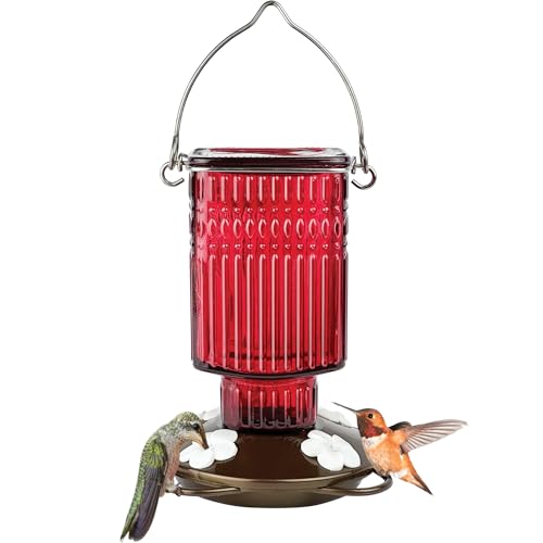 �️Nature's Way Hanging Glass Hummingbird Feeder for Outdoor Decor, 22 Ounce Capacity Nectar Feeder, 4 Easy to Clean Flex