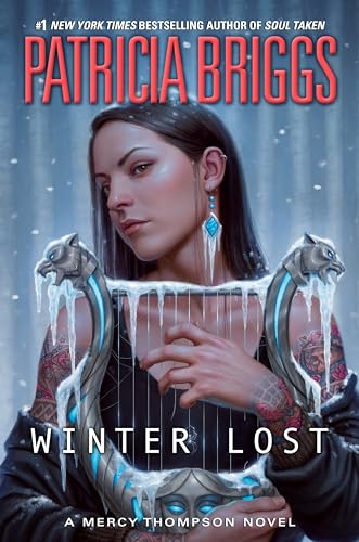 Winter Lost book cover