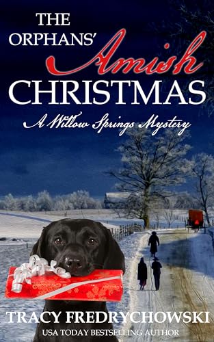 The Orphans’ Amish Christmas book cover