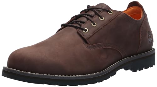Timberland Men's Redwood Falls Lace Up Waterproof Shoe, Dark Brown Nubuck, 10 Medium