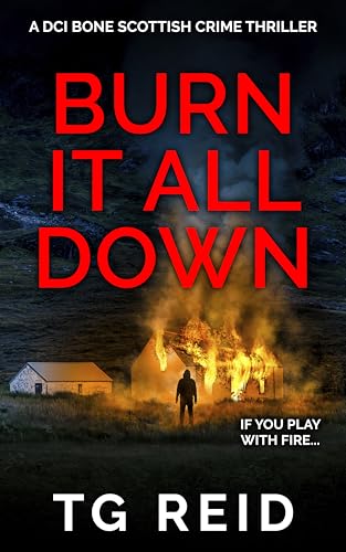 Burn it All Down cover