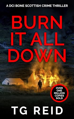 Burn it All Down book cover