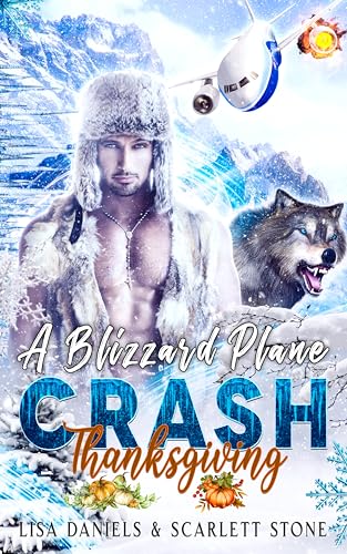 A Blizzard Plane Crash Thanksgiving book cover