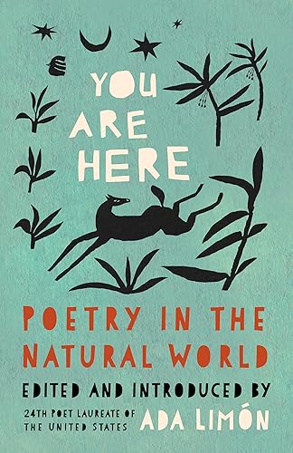 You Are Here book cover