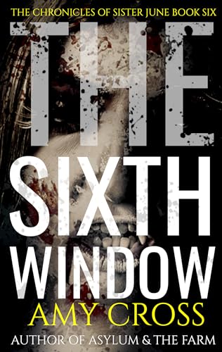 The Sixth Window cover