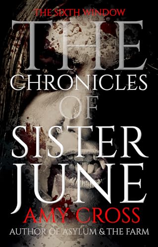 The Sixth Window book cover