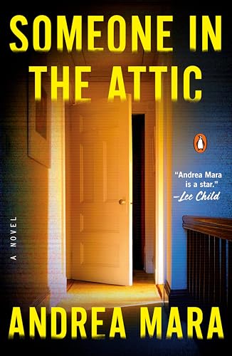 Someone in the Attic book cover