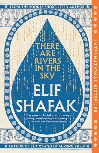 There Are Rivers in the Sky book cover