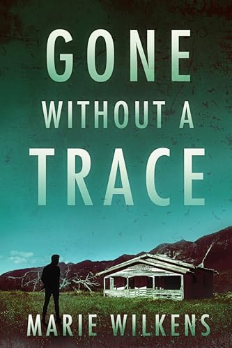 Gone without a Trace book cover