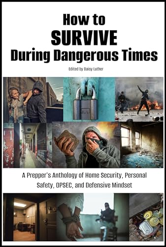 How to Survive During Dangerous Times book cover