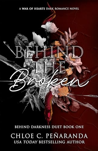 Behind The Broken book cover