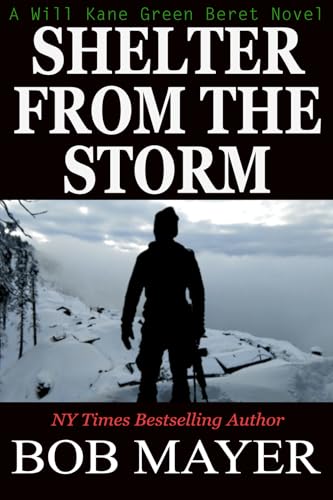 Shelter From The Storm book cover