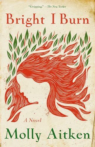 Bright I Burn book cover