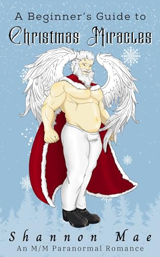 A Beginner's Guide to Christmas Miracles book cover