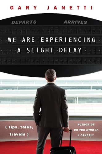 We Are Experiencing a Slight Delay book cover