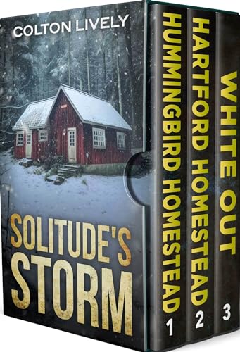 Solitude's Storm book cover