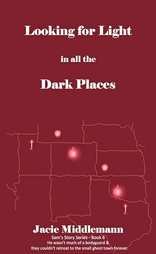 Looking for Light in All the Dark Places - Book 6 book cover