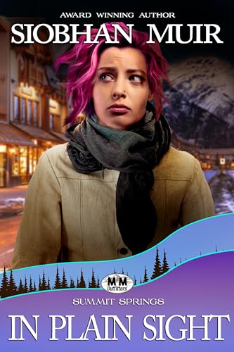 In Plain Sight book cover