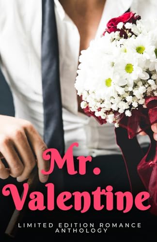 Mr. Valentine book cover