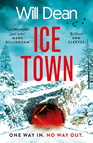Ice Town book cover