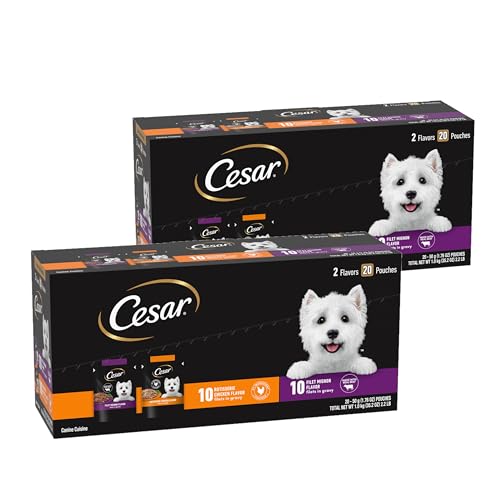 Cesar Filets in Gravy Wet Dog Food Filet Mignon Flavor and Rotisserie Chicken Flavor Variety Pack, 1.76 oz. Mini-Pouches (20 Count, Pack of 2)