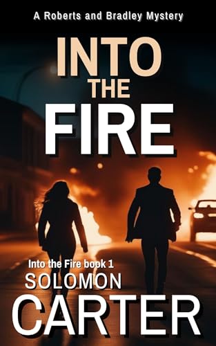 Into the Fire book cover