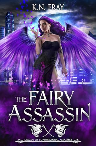 The Fairy Assassin book cover