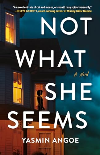 Not What She Seems book cover