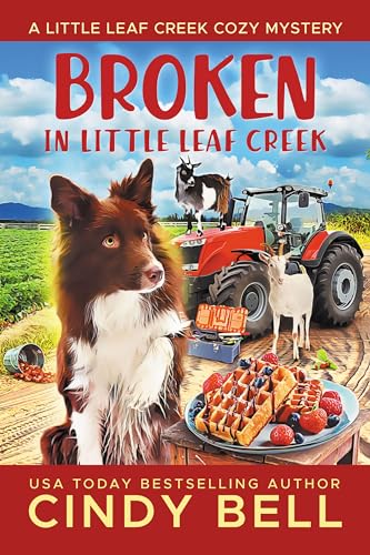 Broken in Little Leaf Creek cover