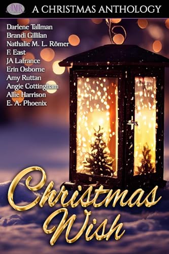 Christmas Wish book cover
