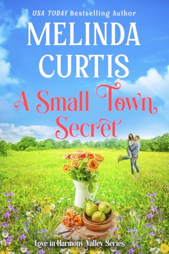 A Small Town Secret book cover