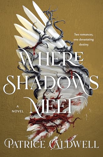 Where Shadows Meet cover
