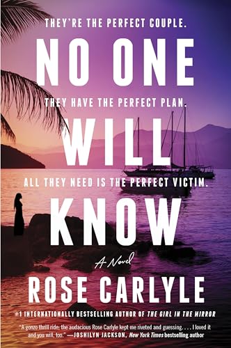 No One Will Know book cover