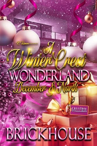 December & North book cover