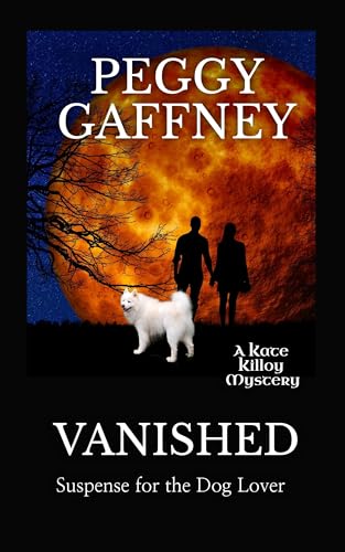 Vanished book cover