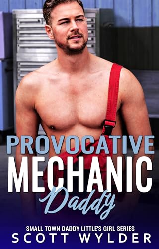 Provocative Mechanic Daddy book cover