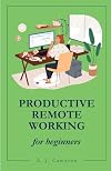 Productive Remote Working