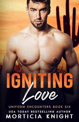 Igniting Love / Set Ablaze book cover