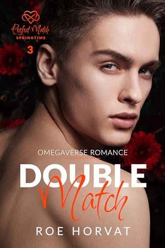 Double Match book cover
