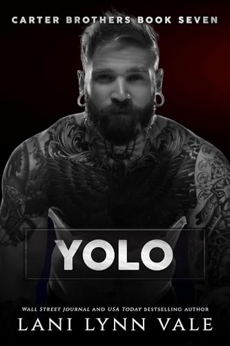 YOLO book cover