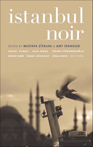 Istanbul Noir book cover