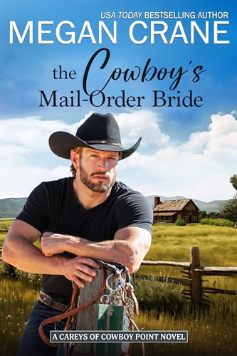 The Cowboy’s Mail-Order Bride book cover