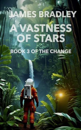 A Vastness of Stars book cover