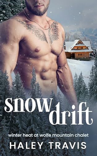Snow Drift book cover